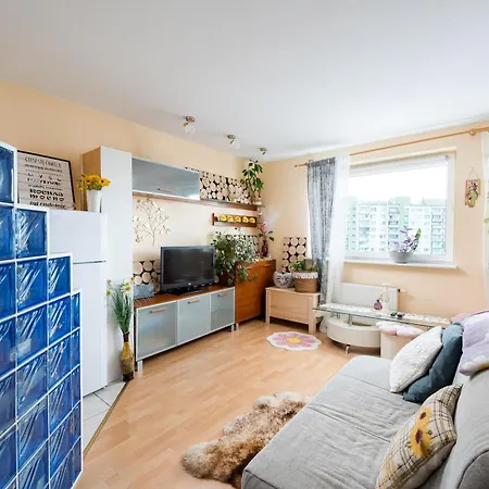 Maszewska Comfy By Bookinghost