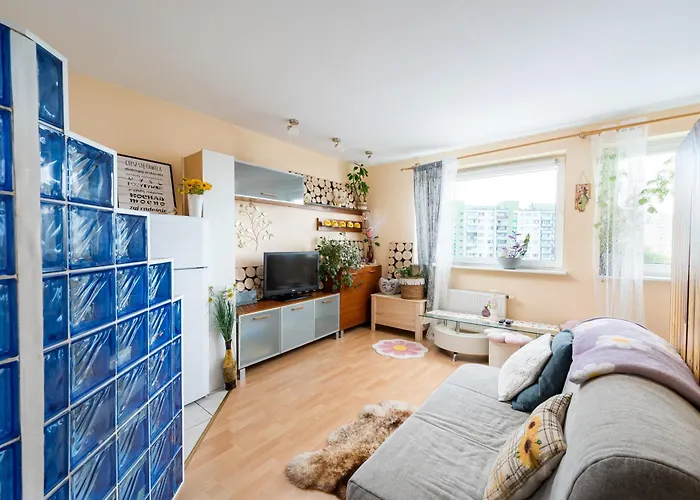 Maszewska Comfy By Bookinghost